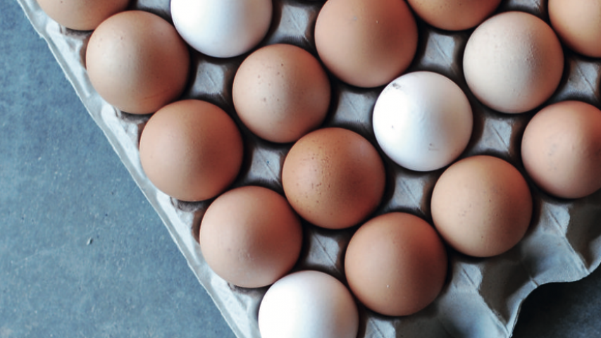 Eggshells
